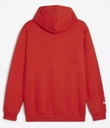 F1 ESS MENS LOGO HOODY, L