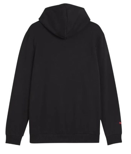 F1 ESS MENS LOGO HOODY, L