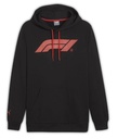 F1 ESS MENS LOGO HOODY, XL