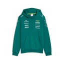 AMF1 RP KIDs Hoodie, GREEN LUX
