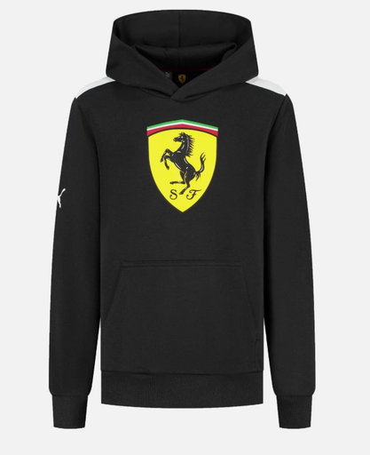 SF FW LARGE SHIELD HOODY, BLACK