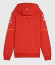 SF RP KIDS TEAM HOODY, 116