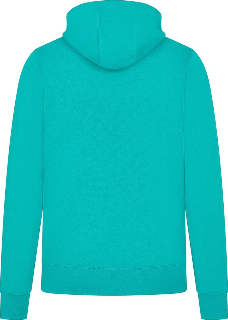 MAPF1 FW MENS LOGO HOODY