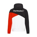 F1 CUT & SEW SWEAT Multi