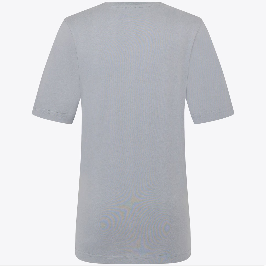 RBR Large Front Logo Tee Gray
