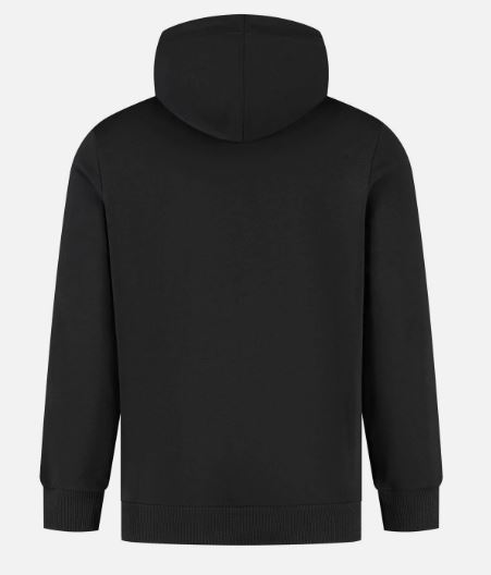 SF FW LARGE SHIELD HOODY, L