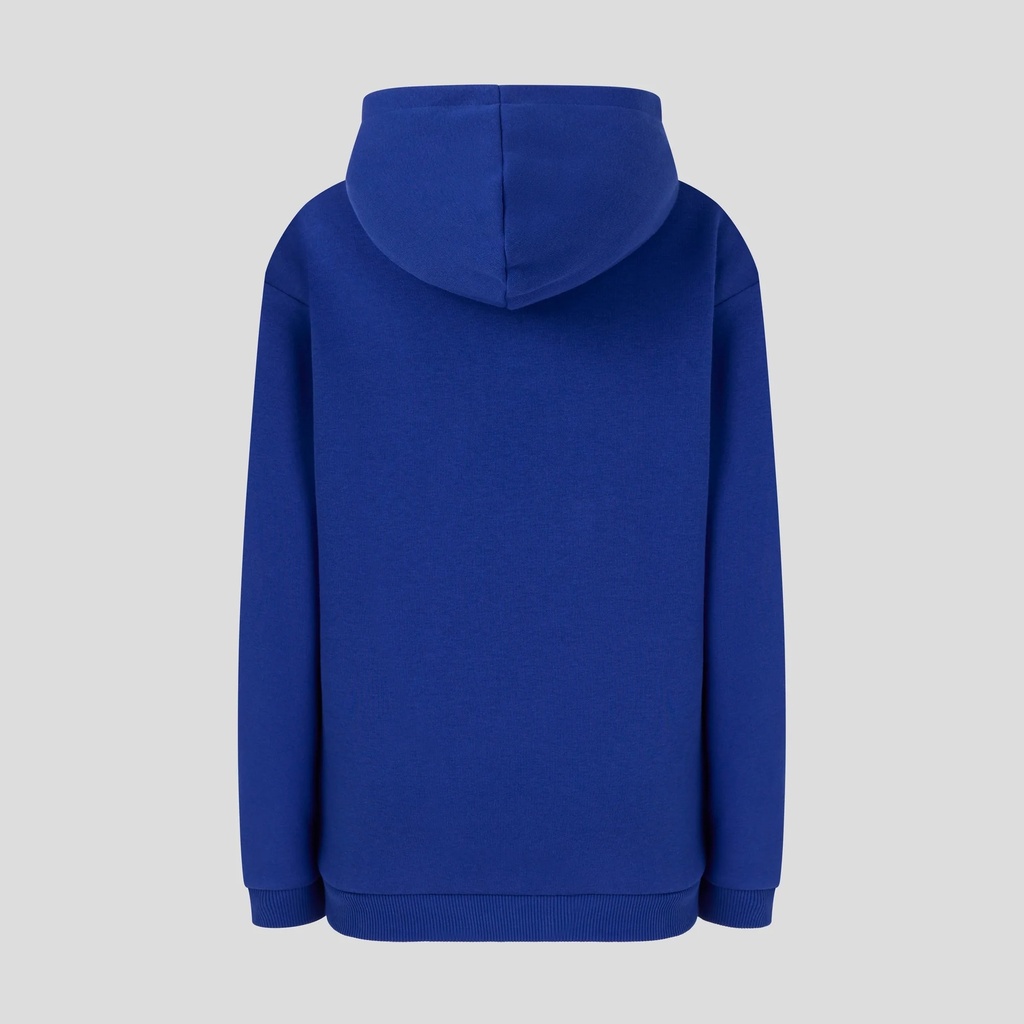 Redbull Racing ORACLE RBR RELAXED FIT OH HOODIE BLUING Male
