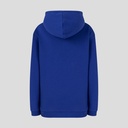 Redbull Racing ORACLE RBR RELAXED FIT OH HOODIE BLUING Male