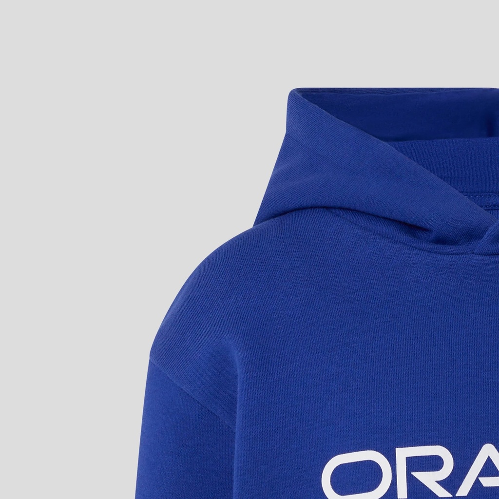 Redbull Racing ORACLE RBR RELAXED FIT OH HOODIE BLUING Male