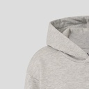 Redbull Racing ORACLE RBR RELAXED FIT OH HOODIE GREY MARL Male