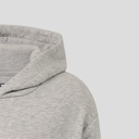 Redbull Racing ORACLE RBR RELAXED FIT OH HOODIE GREY MARL Male