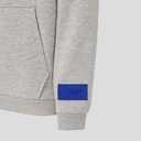 Redbull Racing ORACLE RBR RELAXED FIT OH HOODIE GREY MARL Male