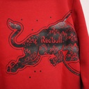 Redbull Racing GRAPHIC BULL HOODIE CHILLI PEPPER Male