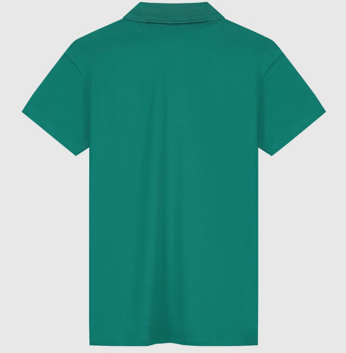 AMF1 FW SEASONAL POLO, AM GREEN