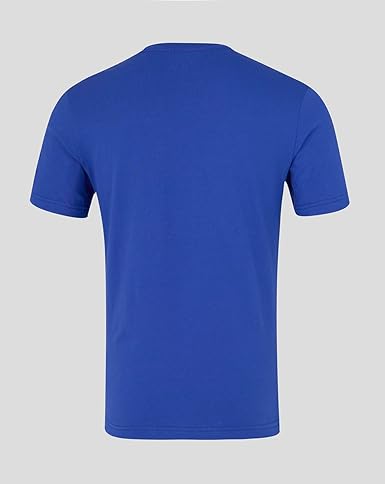 Redbull Racing ORACLE RBR LOGO REGULAR FIT TEE BLUING Male