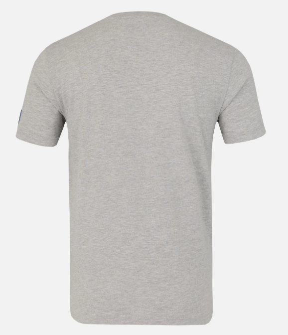 Redbull Racing ORACLE RBR LOGO REGULAR FIT TEE GREY MARL Male