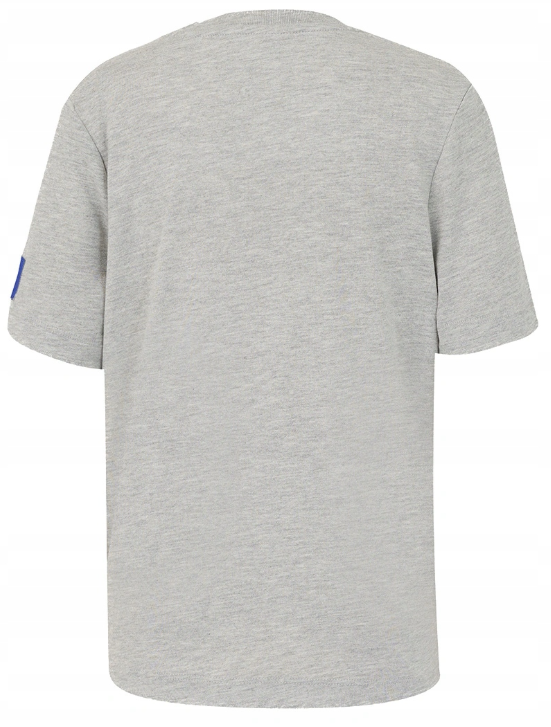 Redbull Racing ORACLE RBR LOGO REGULAR FIT TEE GREY MARL Youth
