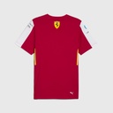 SF RP LMH TEE, XXL