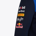 Redbull Racing SOFT SHELL JACKET NIGHT SKY / SURF THE WEB Male