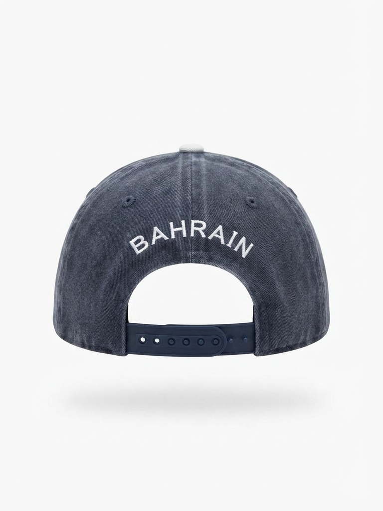 BIC PINK/BLUE BIC LOGO CAP