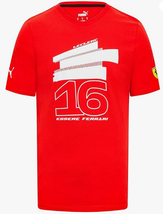 SF FW MENS DRIVER TEE 23 R