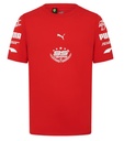 SF FW MENS GRAPHIC TEE, 3XL
