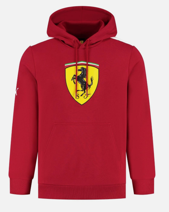 SF FW LARGE SHIELD HOODY, RED