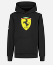SF FW LARGE SHIELD HOODY, BLACK