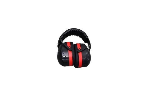 BIC Earmuff 22