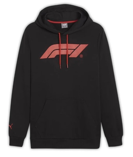 F1 ESS MENS LOGO HOODY, S