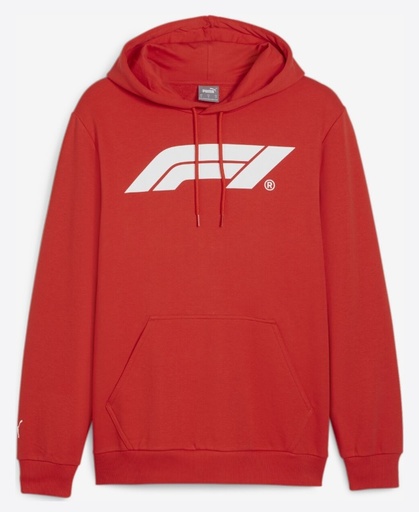 F1 ESS MENS LOGO HOODY, M