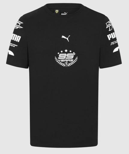 SF FW MENS GRAPHIC TEE, L