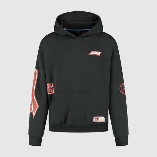 F1 FW LEGACY GRAPHIC HOODY